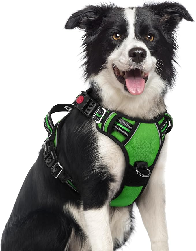 rabbitgoo Dog Harness Medium Sized, No Pull Dog Vest with 3 Buckles, Adjustable Soft Padded Pet Harness with Easy Control Handle and Reflective Strips, Green, M