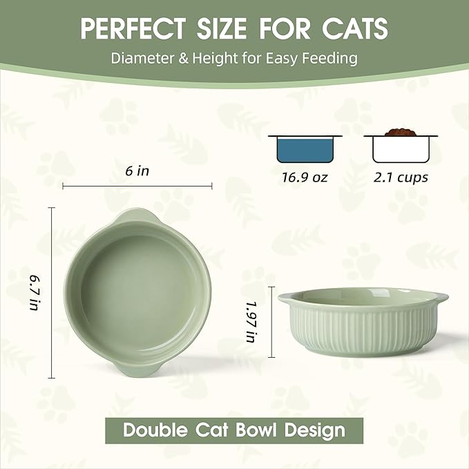 Cat Food Bowl with Handle, 6 inch Ceramic Cat Food and Water Feeder Set, Modern Vertical Texture Design, Kitten Bowls for Indoor Cats and Small Dogs, Microwave Dishwasher Safe, Green - 2 Pack