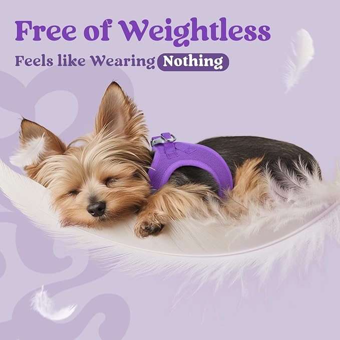 rabbitgoo Small Dog Harness, Step-in Soft Mesh Puppy Vest with Safety Buckle, Breathable Reflective Pet Harness for Small Sized Dogs, Purple XS