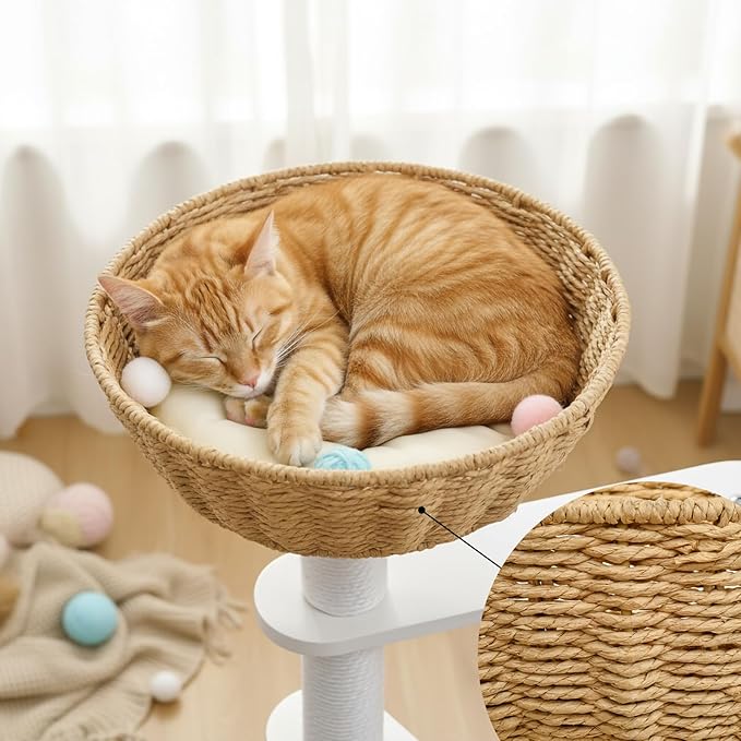 40-Inch Cat Tree with Condo & Hammock, Multi-Level Cat Tower for Indoor Cats with Sisal Scratching Posts, Dangling Ball, Plush Perch, and Removable Cushion, White