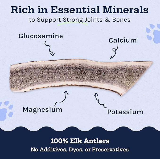 Good Trouble Premium Elk Antlers for Small Dogs – 1 Pack Split - All-Natural, Shed Antler Chews for Dental Health & Calming - Durable Dog Bones - Cruelty-Free, North American Sourced