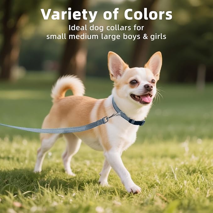 Soft Reflective Dog Collar for Extra Small Dogs, Lightweight Adjustable Puppy Collar with Neoprene Padding, Gentle Nylon for Chihuahua Yorkie,Grey,XS