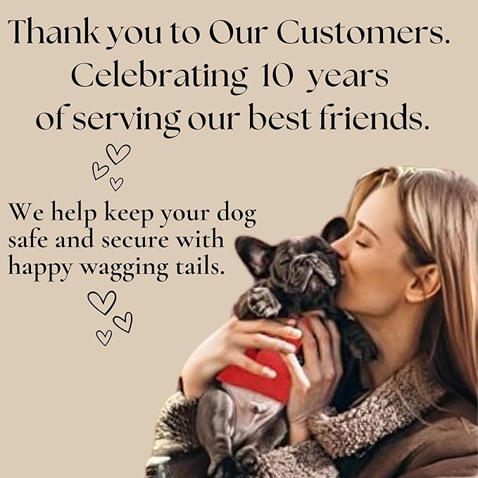 EcoBark Step in Dog Harness - Eco-Friendly Teacup Dog Harnesses for XXS, XS, and Small Dogs - Reflective and Adjustable Mini Body Halter Vest -Tiny Soft Mesh Toy Breed Harness Under 5 lbs (Pink, XXS)