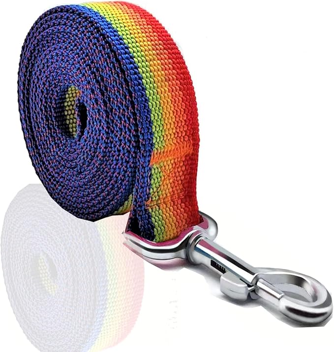 Nylon Dog Leash 8 Feet Long, Walking Training Dog Leashes for Medium Large Dogs