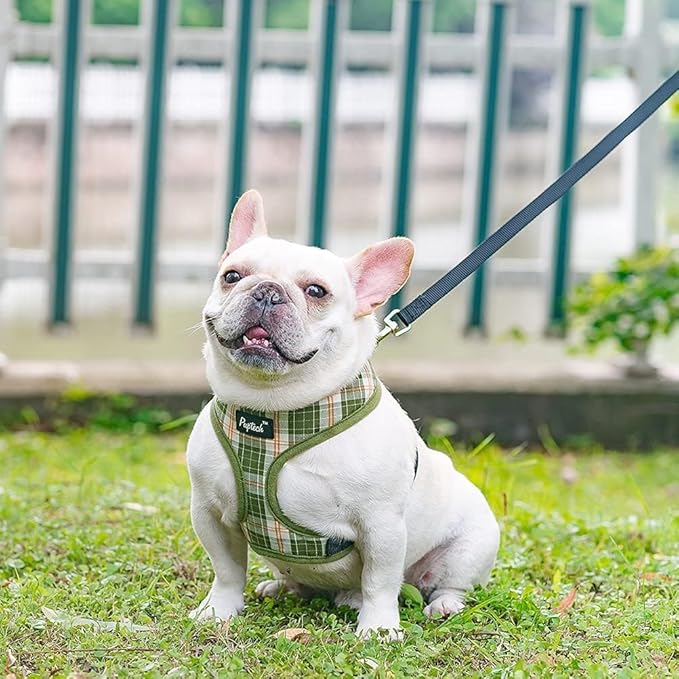 PUPTECK Soft Mesh Dog Harness and Leash Set Pet Puppy Cat Comfort Padded Vest No Pull Harnesses, Olive Green, S