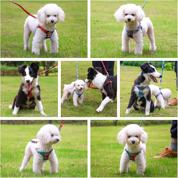 CHEDE No Pull Puppy Harness and Multifunction Dog Leash Set- 8 Colors Soft Adjustable No Choke Escape Proof Cute,Lightweight Pet Vest Harness for Small and Medium Dog (XXS, Blue Grid)