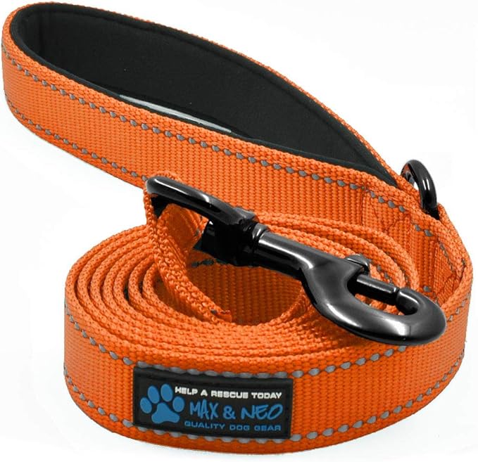 Max and Neo Small Dog Reflective Nylon Leash - We Donate One for Every Sold (Orange, 6x5/8)