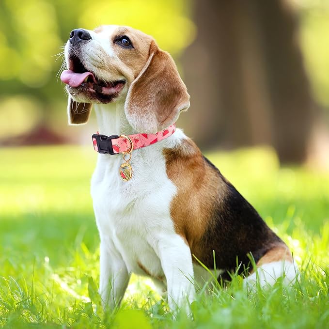 Handmade Dog Collar for Small Medium Large Dogs,Pink Watermelon with Pendant Fall and Winter Fashions Dog Collar (Large)