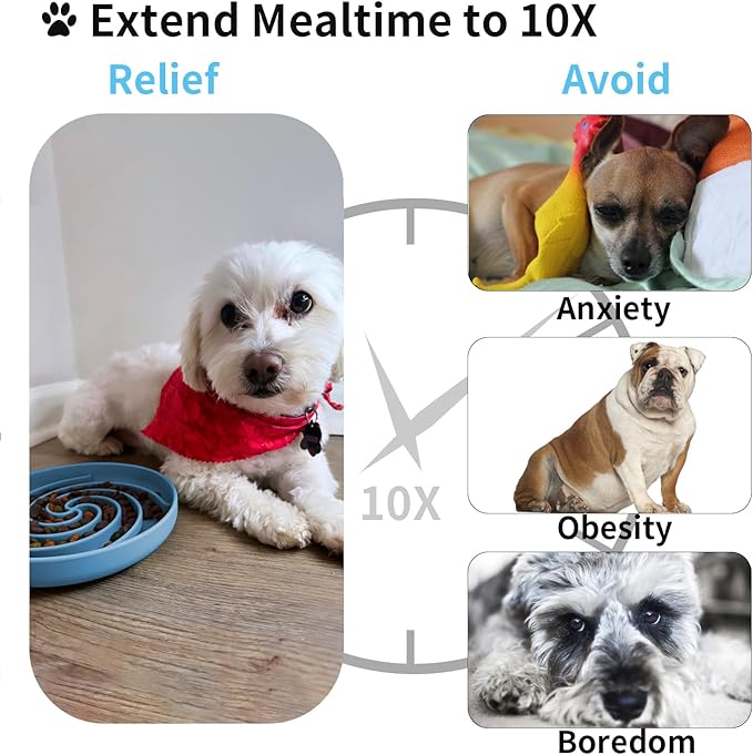 Slow Feeder Dog Bowls, Dishwasher Microwave Safe Silicone Puppy Puzzle Bowl with Non-Slip Design for Eating (Sky Blue)