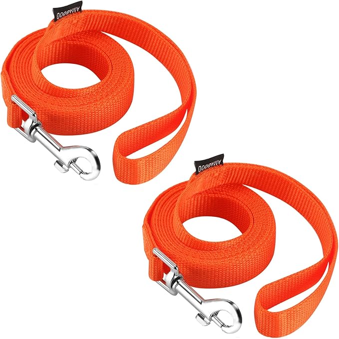 AMAGOOD 6 FT Dog Leashes, Strong and Durable Traditional Style Leash with Easy to Use Collar Hook,Dog Leads Great for Small and Medium and Large Dogs(3/4 in x 6 ft,Orange(Pack of 2))