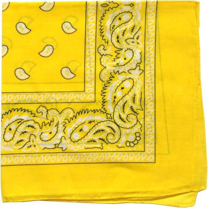 combocube 12 Pack(one Dozen) Multi-Purpose Cotton Paisley Cowboy Bandanas Headband for Men and Women