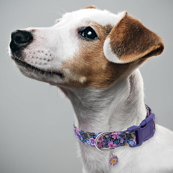 Faygarsle Cotton Dog Collar Cute Dog Collars for Small Medium Large Dogs Purple Floral Colored Options Soft and Fancy Pet Collars for Girls Flower Pattern for Girl Dog Collar M