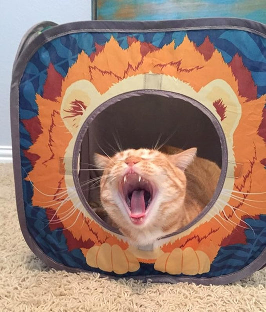 Kitty City Safari Jungle Cat Play Set, Collapsible Pop-Up Cat Toys Combo with Cube, Tunnel & Hideout, Interactive Indoor Cat Playhouse for Exercise, Hiding & Lounging