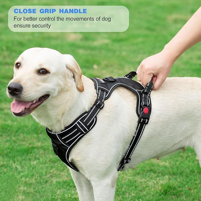 No Pull Dog Harness Adjustable Reflective Oxford Easy Control Medium Large Dog Harness with A Free Heavy Duty 5ft Dog Leash (S (Neck: 13"-18", Chest: 17.5"-22"), Black Harness+Leash)