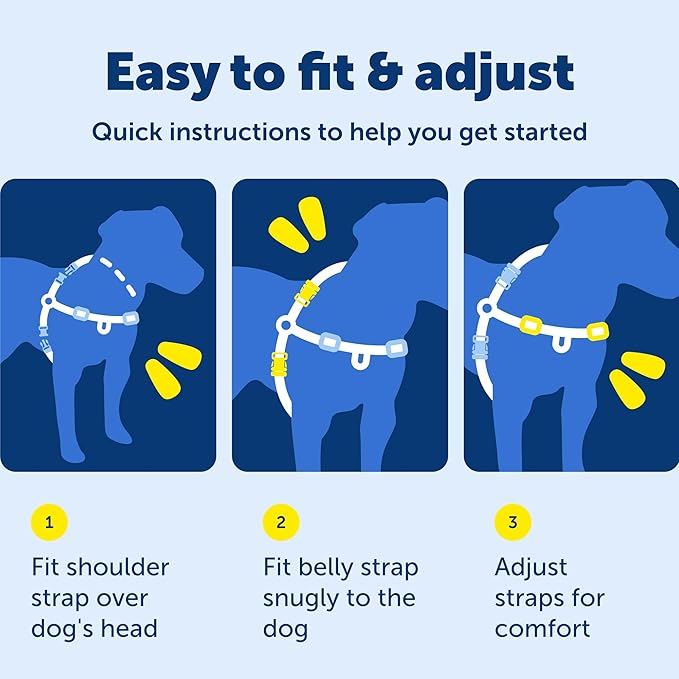 PetSafe Easy Walk Harness for Dogs - Pull-Free Walks - Patented Martingale Loop Design - Front Chest Leash Attachment - Comfort Straps - Breathable Harness Design - Medium, Charcoal/Black