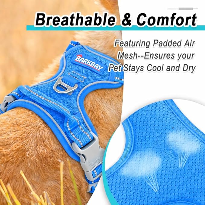 BARKBAY Dog Harness No Pull Mesh for Small Dogs - Adjustable, Reflective, Comfortable, No Choke, Heavy-Duty - Perfect for Outdoor Training, Walking, and Hiking - Strong & Durable - S & Blue Mesh