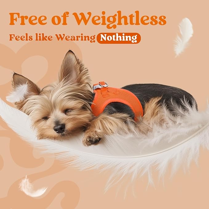 rabbitgoo Small Dog Harness, Step-in Soft Mesh Puppy Vest with Safety Buckle, Breathable Reflective Pet Harness for Small Medium Dogs, Orange XL