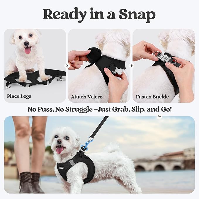 rabbitgoo Dog Harness Small Sized and Leash Set, Step in Soft Light Puppy Vest, Breathable Mesh Pet Harness, Reflective for Outdoor Safe Walking, Black XL