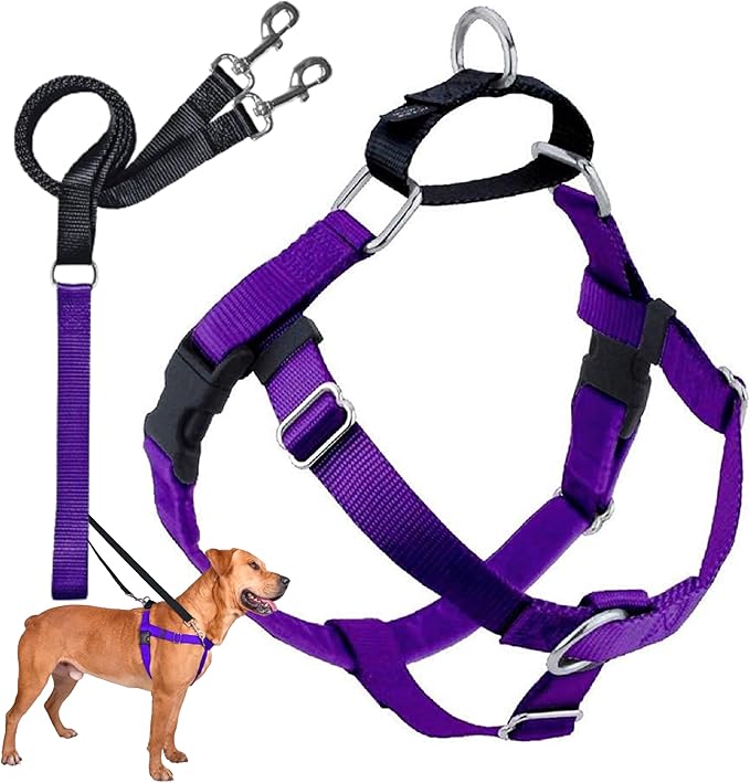 2 Hounds Design Freedom No Pull Dog Harness, Adjustable Harness and Leash Set, Easy Walking & Comfortable Control, Fits Small, Medium & Large Dogs, Solid Colors, Made in USA, 1" XXL, Purple