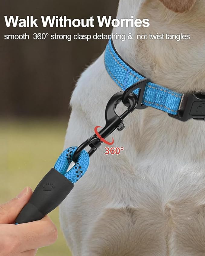 Joytale Dog Leash for Large Dogs, Heavy Duty Nylon Leashes with Comfortable Padded Handle and Highly Reflective Threads, Ideal for Walking and Training, SkyBlue, 6'횞1/2''