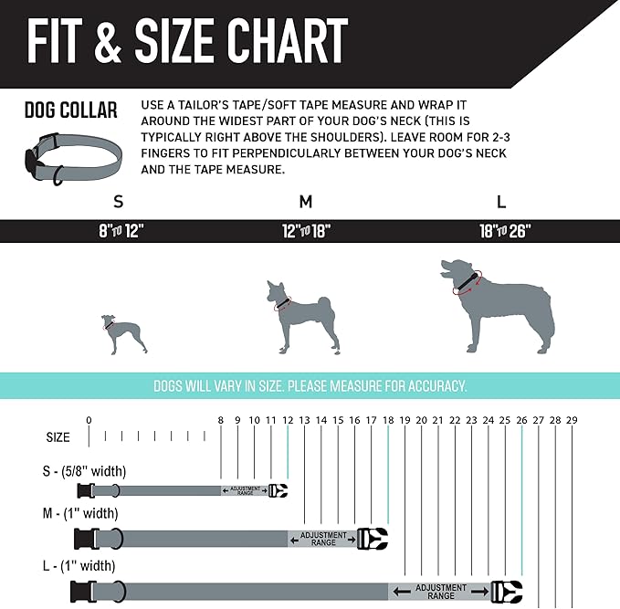 Wolfgang Heavy Duty, Adjustable Dog Collar with Quick Release Nylon Buckle for Walking & Training, SunsetPalms Print, Medium