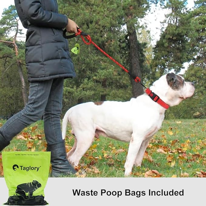 Taglory Rope Dog Leash 6 FT with Comfortable Padded Handle, Highly Reflective Threads Leash for Medium Large Dogs, 1/2 inch, Red