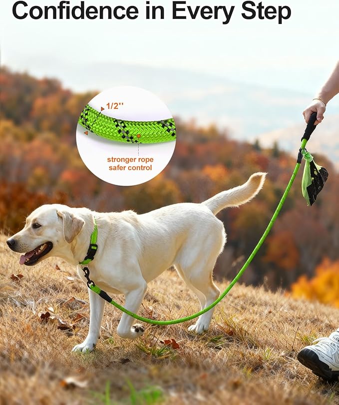 Joytale Dog Leash for Large Dogs, Heavy Duty Nylon Leashes with Comfortable Padded Handle and Highly Reflective Threads, Ideal for Walking and Training, Green, 6'횞1/2''