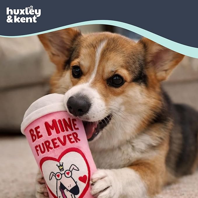 Huxley & Kent Funny Dog Toy w/Squeaker – Valentine's Day Power Plush Squeaky Dog Toys for Small, Medium & Large Dogs – Soft Stuffed Animal for Indoor Play & Fetch - Be Mine Furever Latte, Small