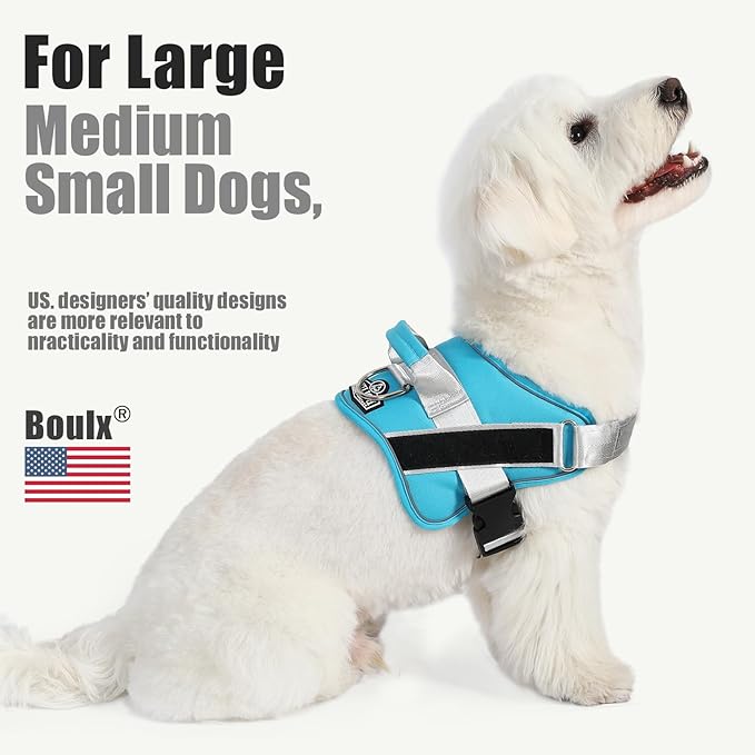 Bolux Dog Harness, No-Pull Reflective Dog Vest, Breathable Adjustable Pet Harness with Handle for Outdoor Walking - No More Pulling, Tugging or Choking (OceanicBlue, Small (Pack of 1))