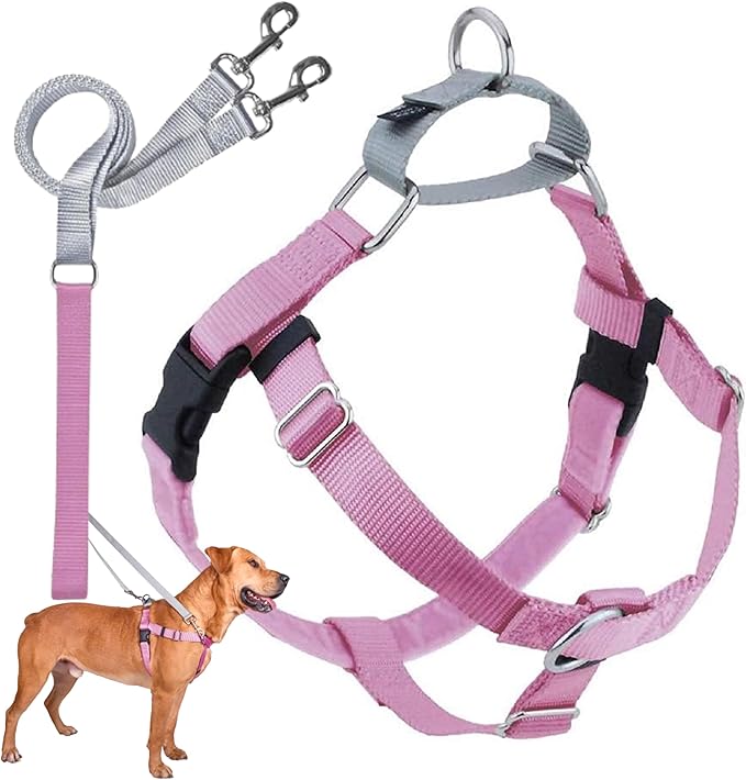 2 Hounds Design Freedom No Pull Dog Harness, Adjustable Harness and Leash Set, Easy Walking & Comfortable Control, Fits Small, Medium & Large Dogs, Solid Colors, Made in USA, 5/8" MD, Rose