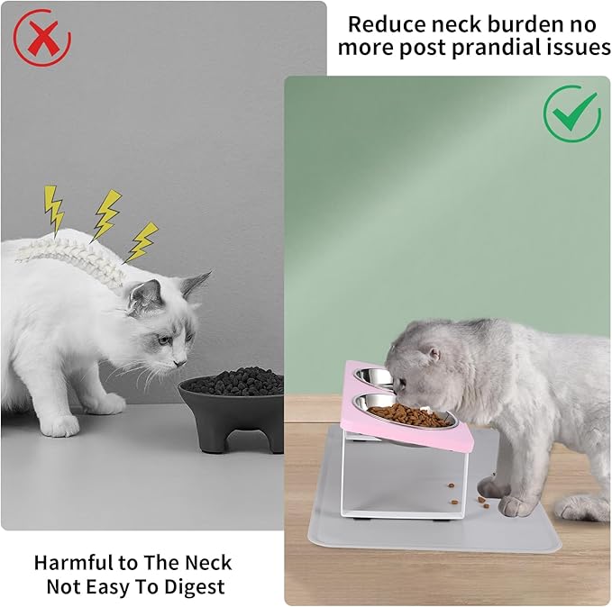 Upgraded Elevated Cat Bowls with Food Mat,15°Tilted Stand Anti Vomiting Raised Cat Dishes for Food and Water,2 Stainless Steel Bowls for Cats and Puppy（Pink）
