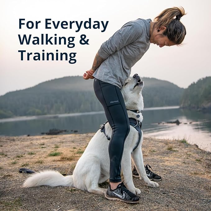 Ruffwear, Front Range Dog Harness, Reflective Soft Padded Everyday Harness with Dual Leash Clips, Adjustable and Lightweight Fit for Training or Walking for All Dogs, Moonlight Mountains, XX-Small