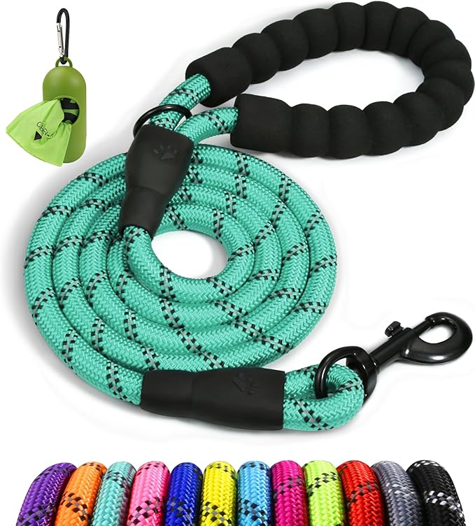 Taglory Rope Dog Leash 6 FT with Comfortable Padded Handle, Highly Reflective Threads Leash for Medium Large Dogs, 1/2 inch, Turquoise