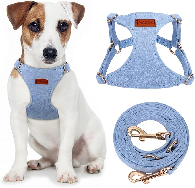 CHEDE No Pull Puppy Harness and Multifunction Dog Leash Set- 8 Colors Soft Adjustable No Choke Escape Proof Cute,Lightweight Pet Vest Harness for Small and Medium Dog (M, Blue)