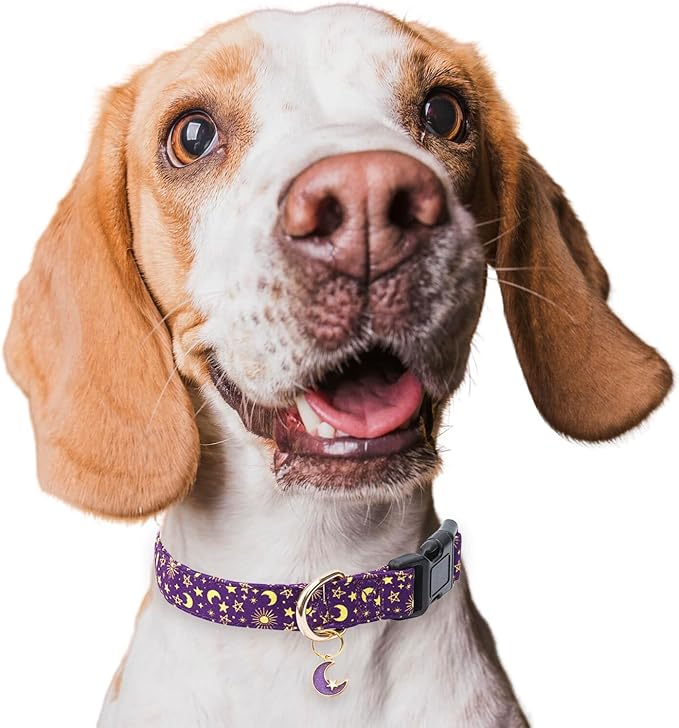 Cotton Dog Collar,Adjustable Cute Puppy Collar with Moon Patterned Design for Small Medium Large Dogs,Soft and Fancy Pet Collar with Safety Buckle for Girl Boy Dogs (Purple Moon, L)