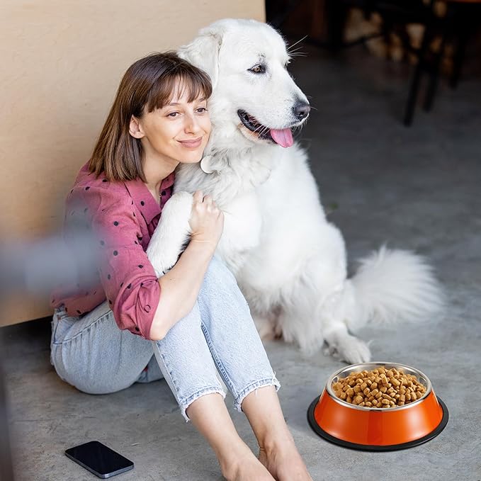 Roshtia 6 Pcs 30 oz Stainless Steel Dog Bowl, Spill Proof Dog Food Water Bowl with Anti Skid Silicone Base Stackable Pet Puppy Dishes for Medium Large Dogs Cat, Colorful