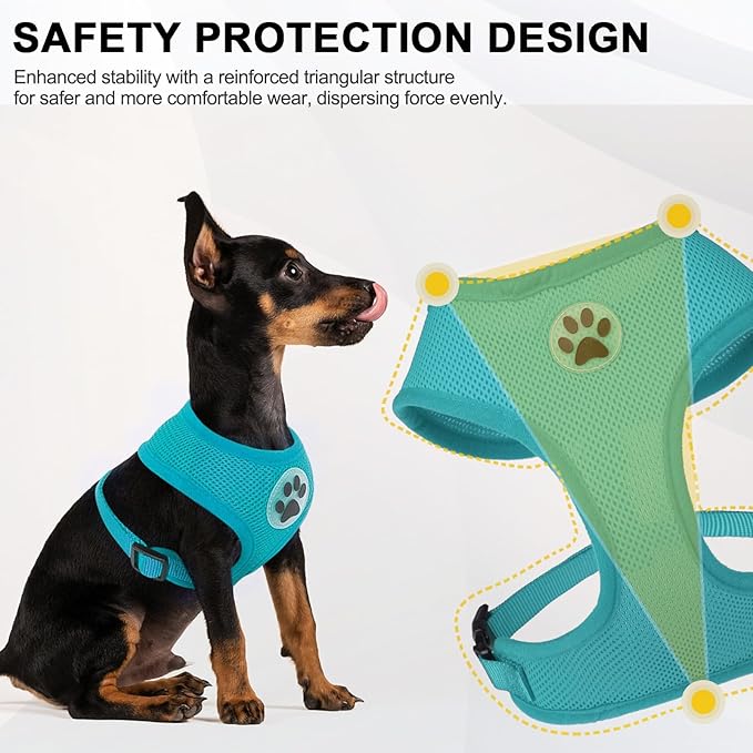 BINGPET No Pull Dog Harness,All Weather Mesh Step-in Vest Harness for Small Dogs,Breathable Mesh Puppy & Cat Harness