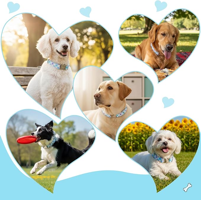 Cotton Collar for Dog竊똕oft Adjustable Dog Collars for Medium Dogs, Cute Dog Collar with Blue & White Plaid for Small Medium Large Dogs, Perfect for Girl or Boy Dog Collars-M