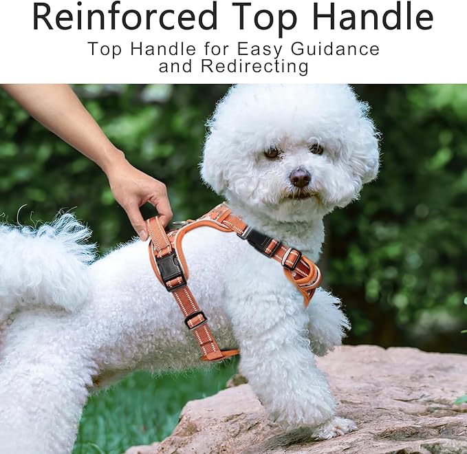 Timos Dog Harness, No Pull Dogs Harness 3 Snap Buckles Adjustable Reflective No Choke Pet Vest for Small Dog with Soft Padded Control Training Handle for Outdoor Training,Flower Orange, S