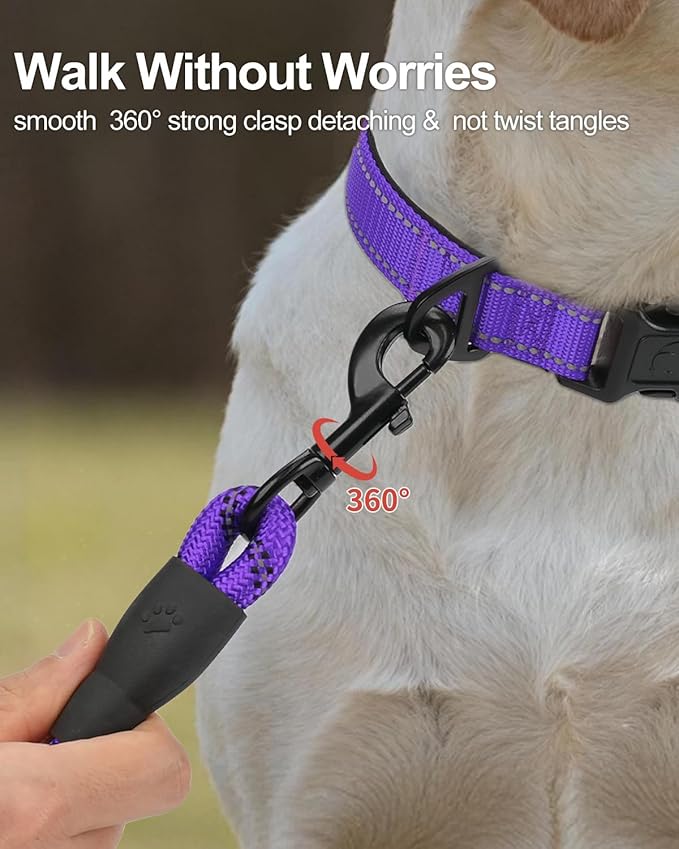 Joytale Dog Leash for Small Dogs, Heavy Duty Nylon Leashes with Comfortable Padded Handle and Highly Reflective Threads, Ideal for Walking and Training, Purple, 6'횞3/8''