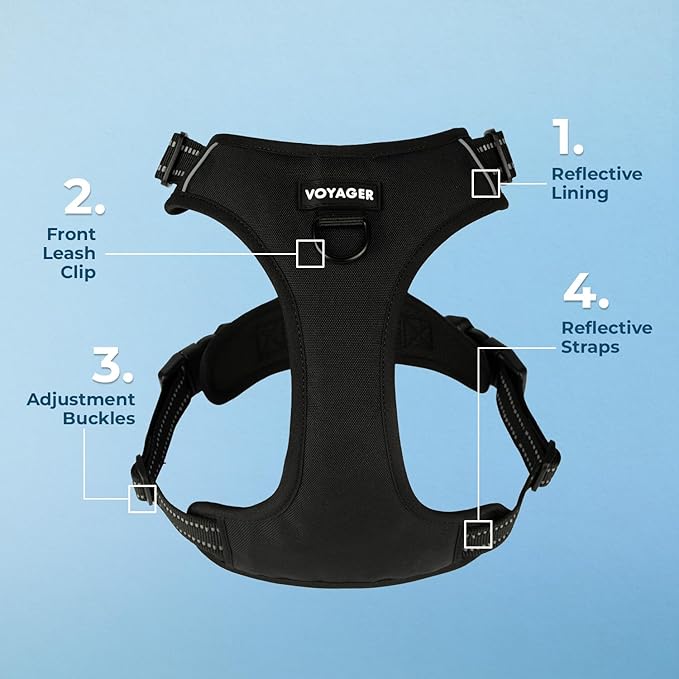 Voyager Dog Harness Dual Leash Attachment No-Pull Control Adjustable Soft but Strong Pet Harness for Medium and Large Dogs with 3M Reflective Technology, Leash Set Black Nylon, M (Chest: 20-25")