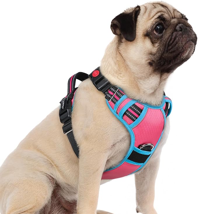 rabbitgoo Dog Harness Small Sized, No Pull Dog Vest with 3 Buckles, Adjustable Soft Padded Pet Harness with Easy Control Handle and Reflective Strips, Rose Pink & Blue, S