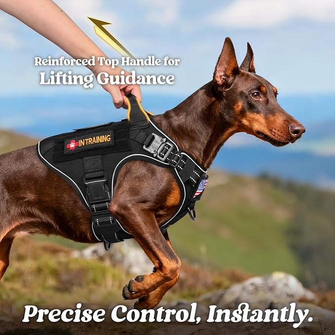 rabbitgoo Tactical Dog Harness for Extra Large Dogs, No Pull Upgraded Reflective Heavy Duty Molle Vest with Handle, Adjustable Military Service Dog Vest for Walking Hiking Training, Black, XL