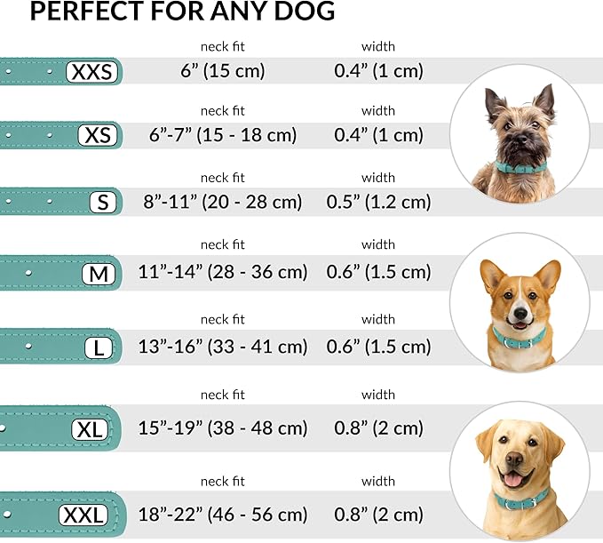 CollarDirect Rolled Leather Dog Collar, Soft Padded Round Puppy Collar, Handmade Genuine Leather Collar Dog Small Large Cat Collars 13 Colors (12-15 Inch, Mint Greent Smooth)