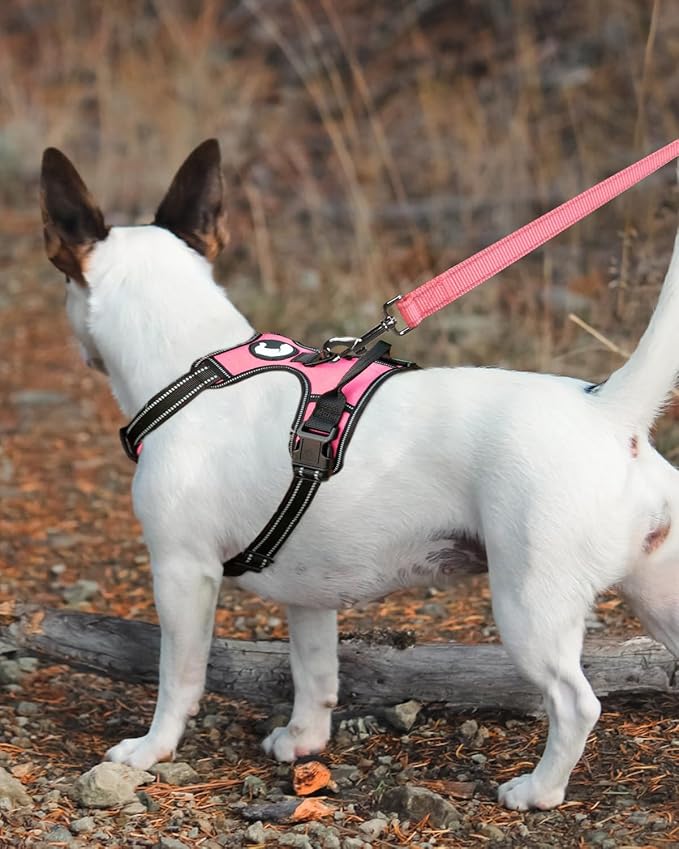 Joytale Dog Leash Heavy Duty for Large Medium Dogs, 6 FT Reflective Nylon Pet Walking Lead with Soft Padded Handle, Durable & Tangle Free for Training, Running & Safety Control, Neon Pink