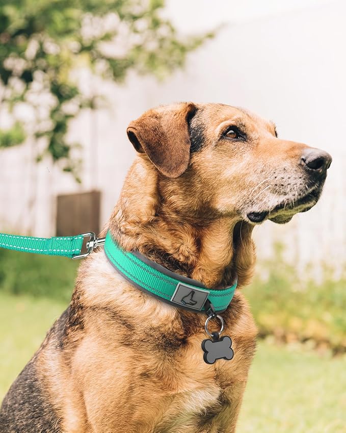 Joytale Dog Collar for Extra Large Dogs, Neoprene Padded and Adjustable, Reflective Wide Heavy Duty Pet Collars with Durable Metal Belt Buckle for Walking, Teal, XL
