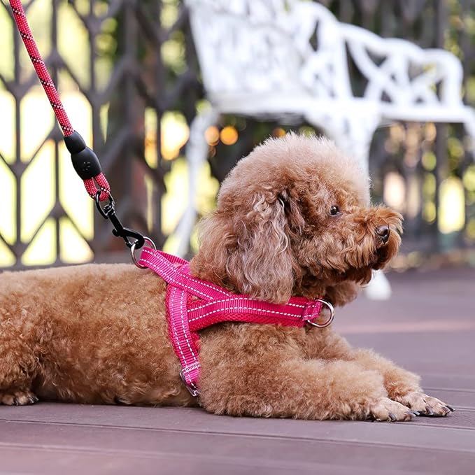 Plutus Pet No Pull Dog Harness with Breathable Mesh Padded, Adjustable Reflective Escape Proof Dog Harness, Quick Fit Dog Vest Harness for Small Medium Large Dogs(XXS, Pink)