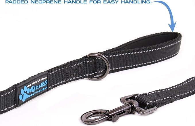 Max and Neo??Reflective Nylon Dog Leash - We Donate a Leash to a Dog Rescue for Every Leash Sold (RED, 6 FT)