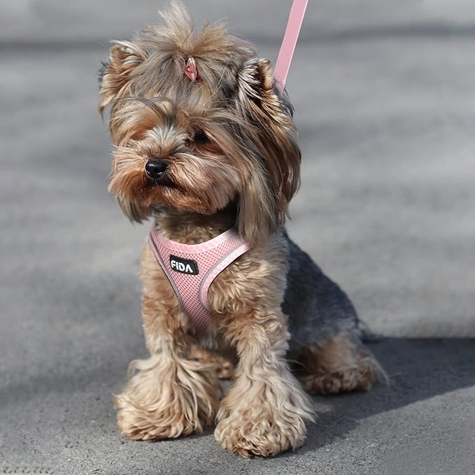 Fida Comfy Dog Harness with Leash, Cat Vest Harness Escape Proof, Breathable Lightweight Soft Mesh, Adjustable Reflective Step-in Harness for Puppy Toy Breeds & Extra-Small Pet (XXS, Pink)