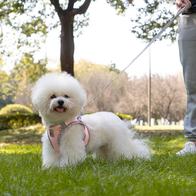 Dog Harness and Leash Set, No Pull Pet Harness for Small Dogs Easy Walking,Soft Breathable Small Dog Harness,Adjustable Reflective Step in Vest Harness for Puppy ,kitten, Cats